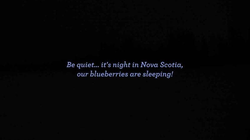 Wild Blueberry Cam 1