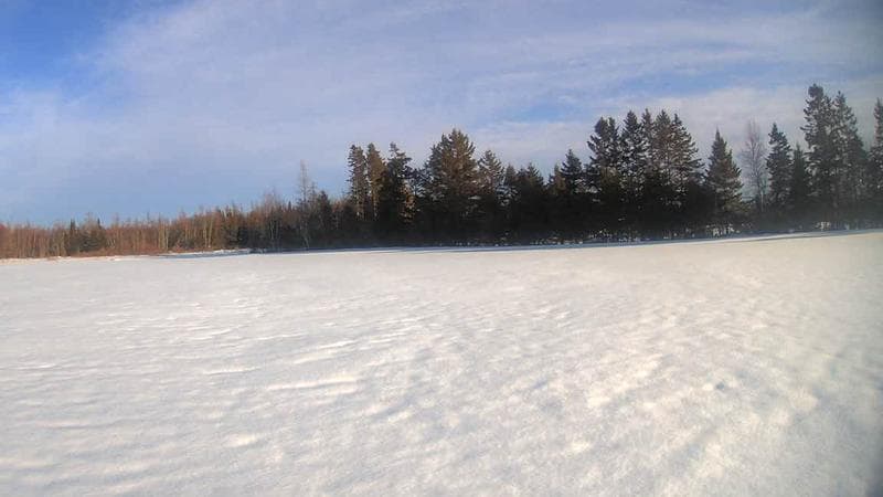 Wild Blueberry Cam 1