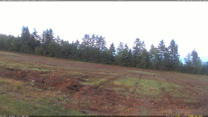 Wild Blueberry Cam 1