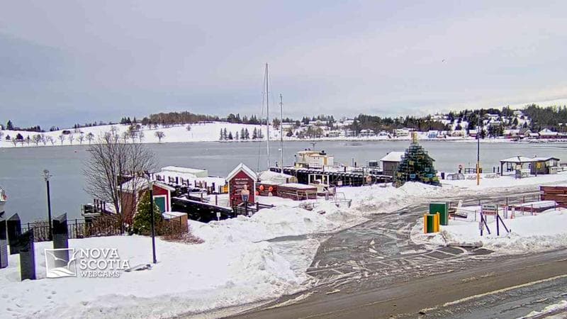 Bluenose II Wharf