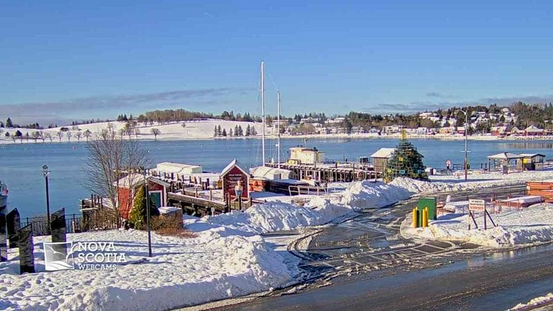 Bluenose II Wharf