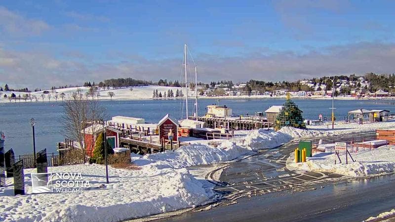 Bluenose II Wharf