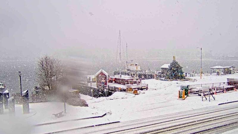 Bluenose II Wharf