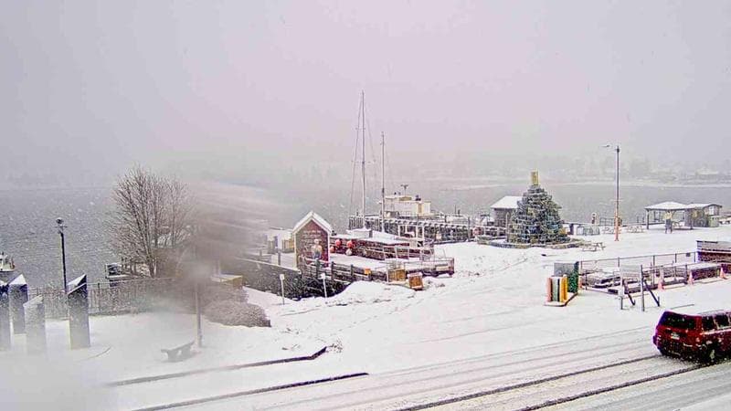 Bluenose II Wharf