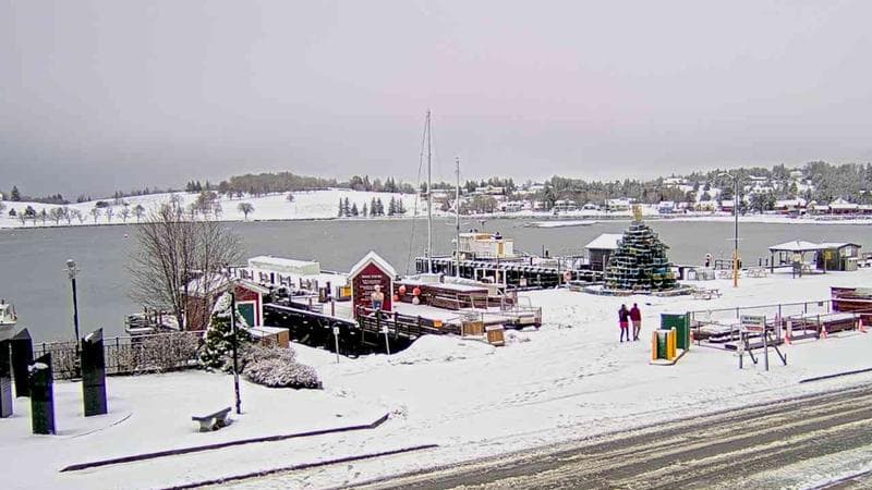 Bluenose II Wharf