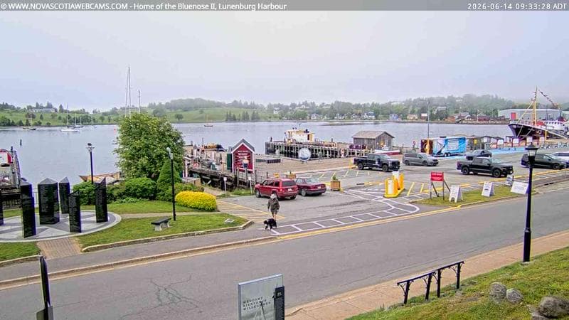 Bluenose II Wharf