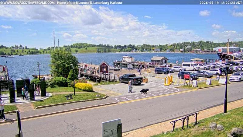 Bluenose II Wharf