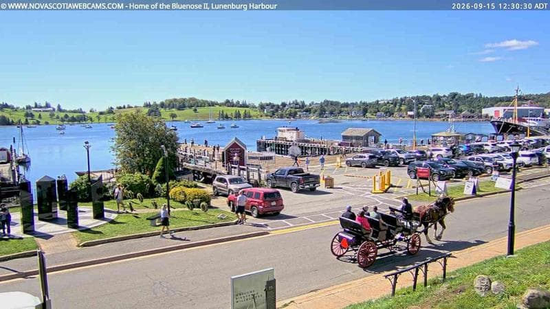 Bluenose II Wharf