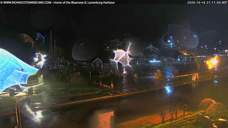 Bluenose II Wharf