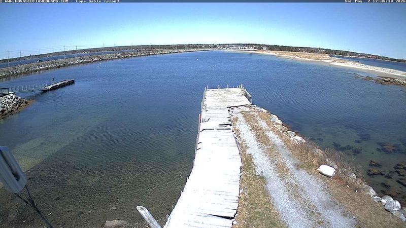 Cape Sable Island