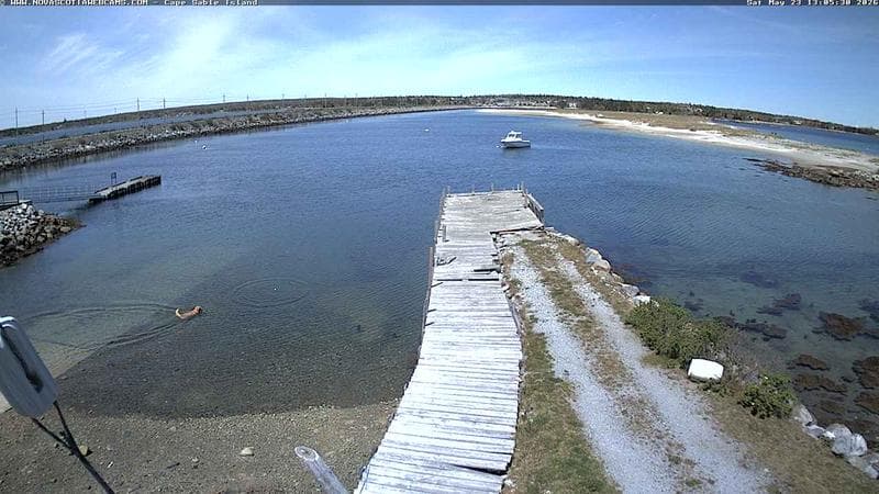 Cape Sable Island