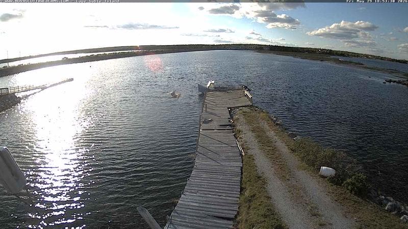 Cape Sable Island