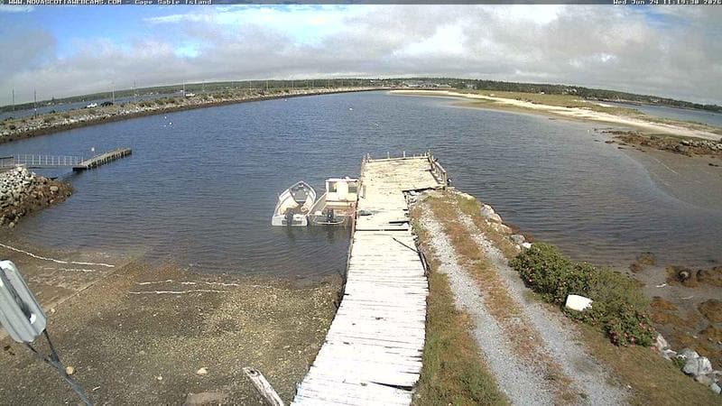 Cape Sable Island