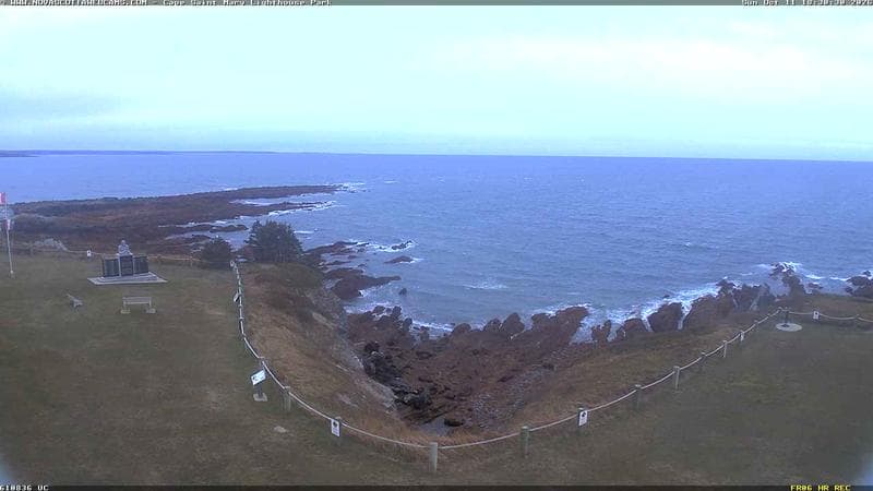 Cape St. Mary