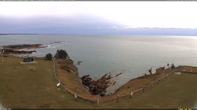 Cape St. Mary