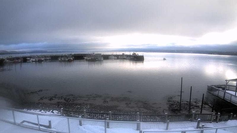 Digby Harbour
