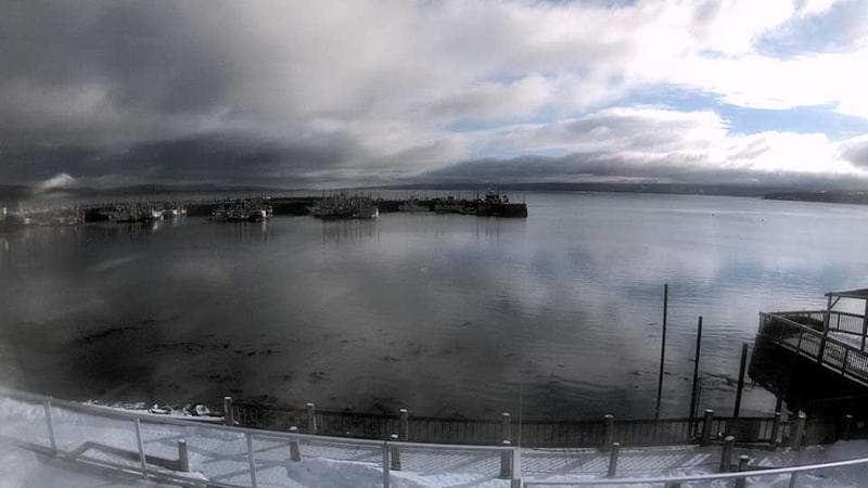 Digby Harbour