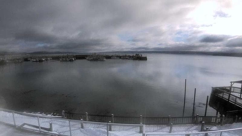 Digby Harbour