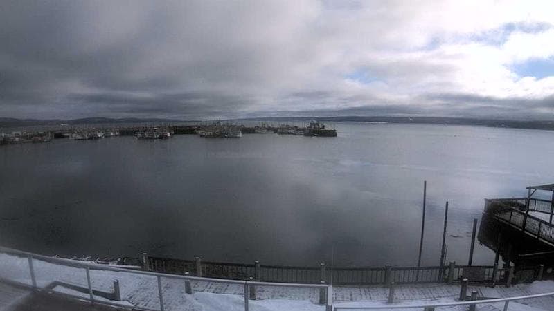 Digby Harbour