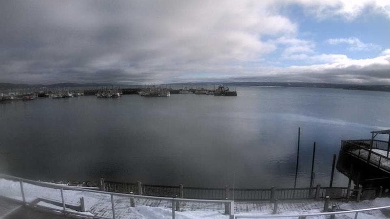 Digby Harbour