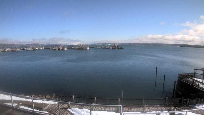 Digby Harbour