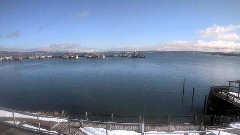 Digby Harbour