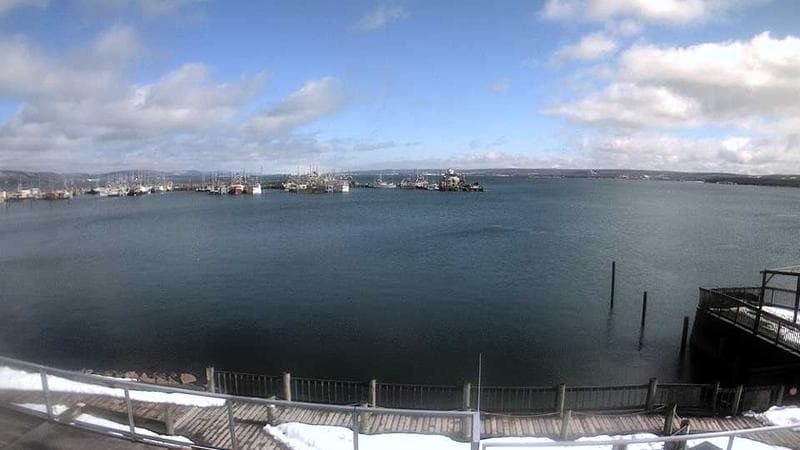 Digby Harbour