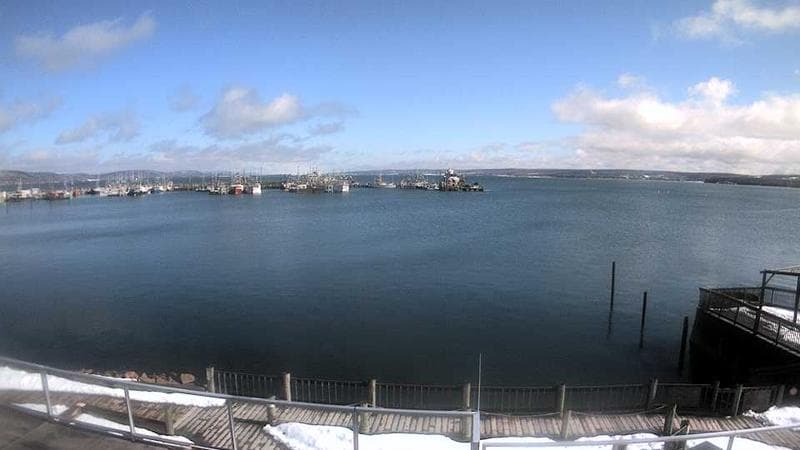 Digby Harbour