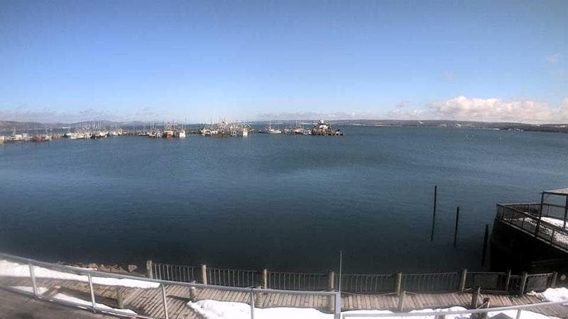 Digby Harbour