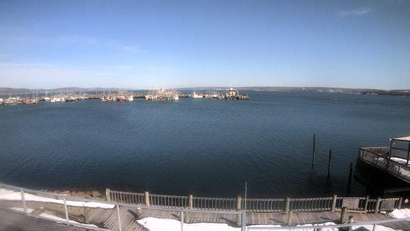 Digby Harbour