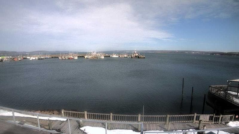 Digby Harbour
