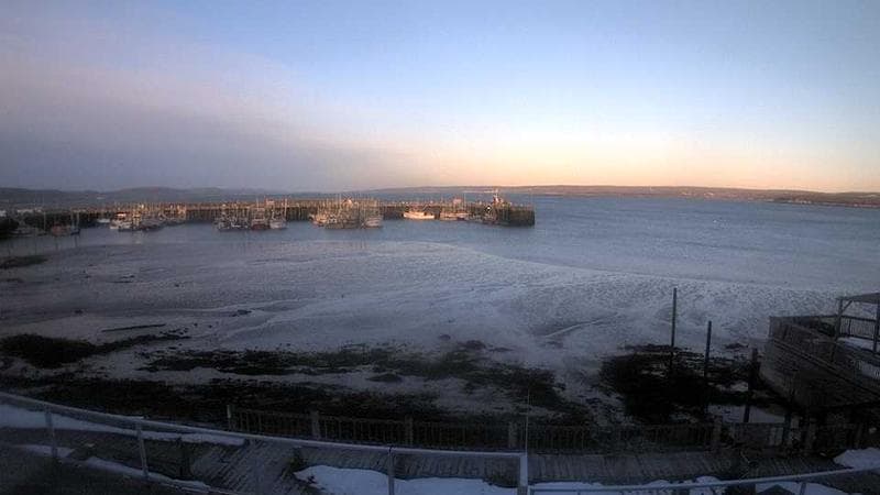 Digby Harbour