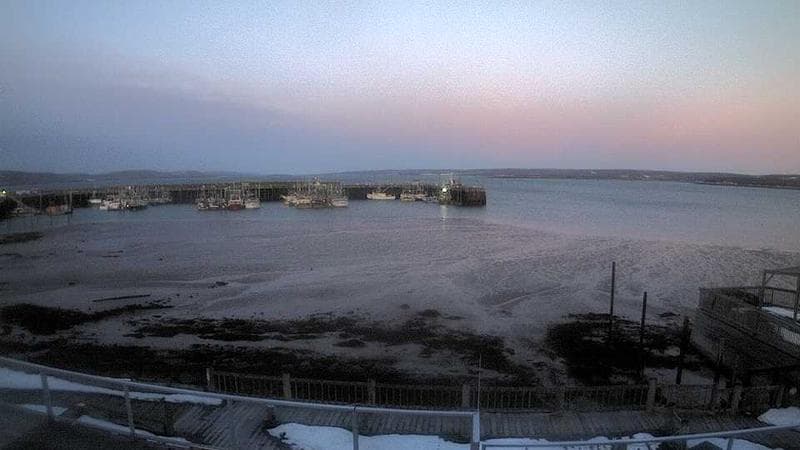 Digby Harbour