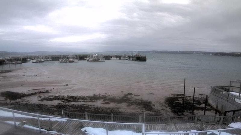 Digby Harbour