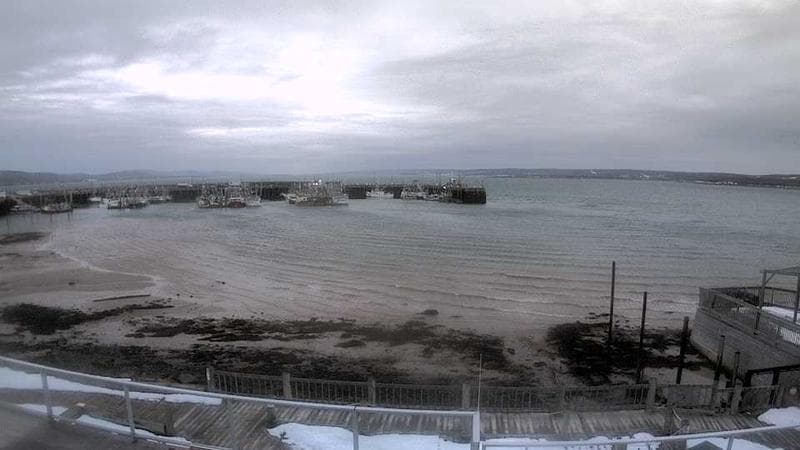 Digby Harbour