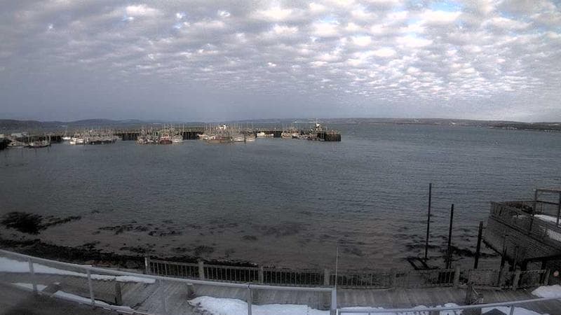 Digby Harbour