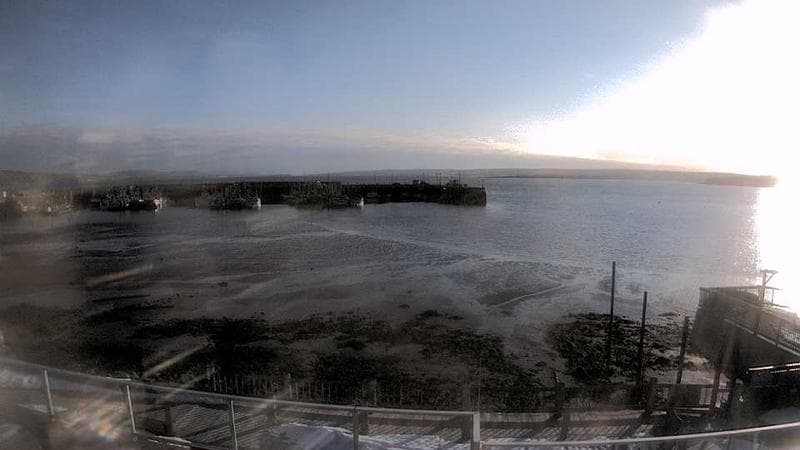 Digby Harbour