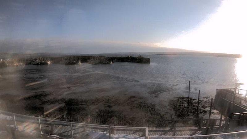Digby Harbour