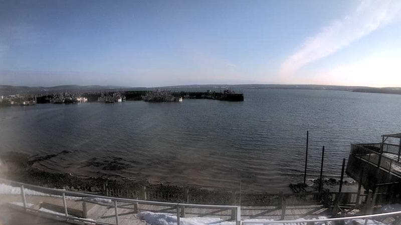 Digby Harbour