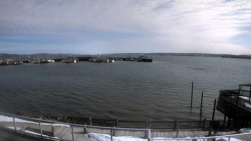 Digby Harbour