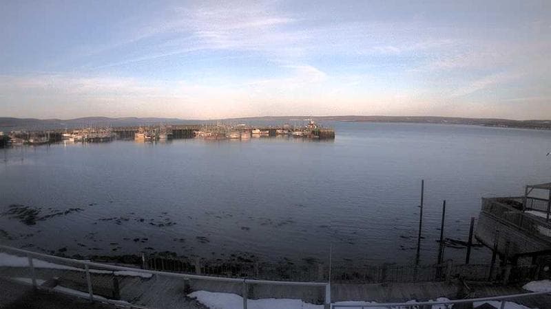 Digby Harbour