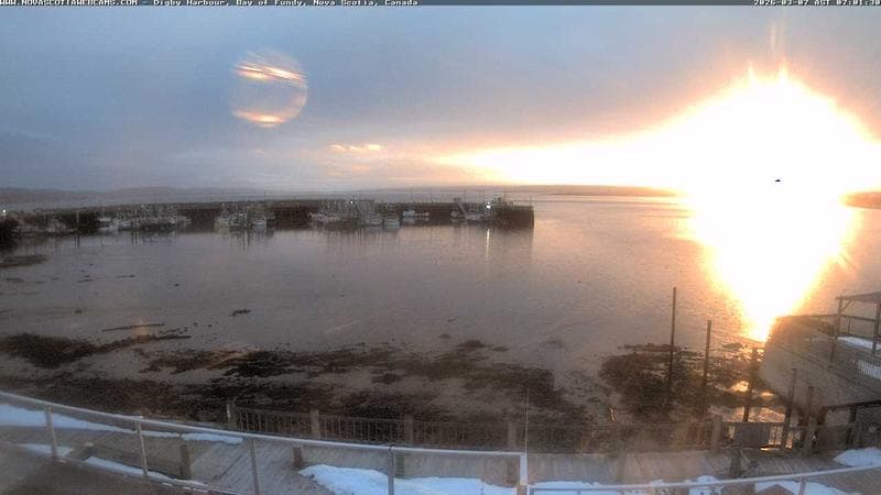 Digby Harbour