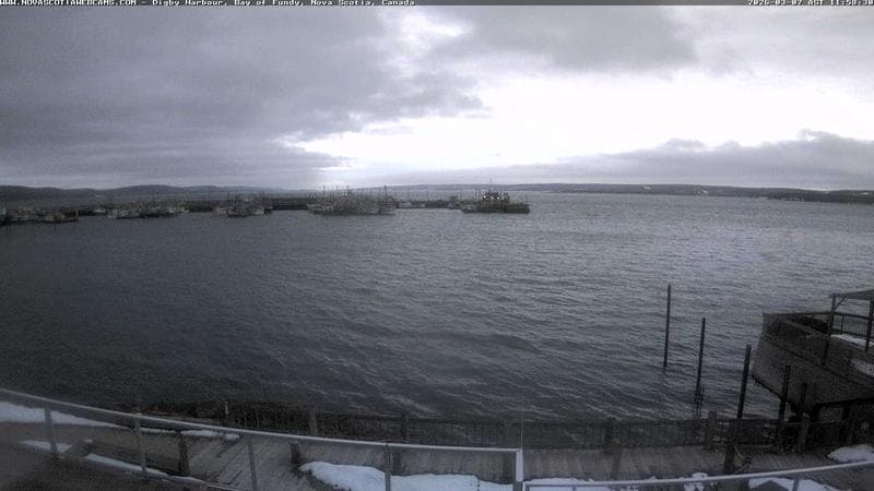 Digby Harbour