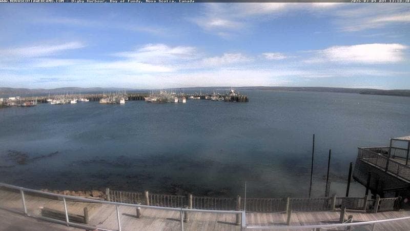 Digby Harbour