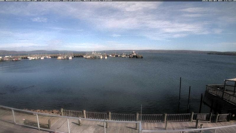 Digby Harbour