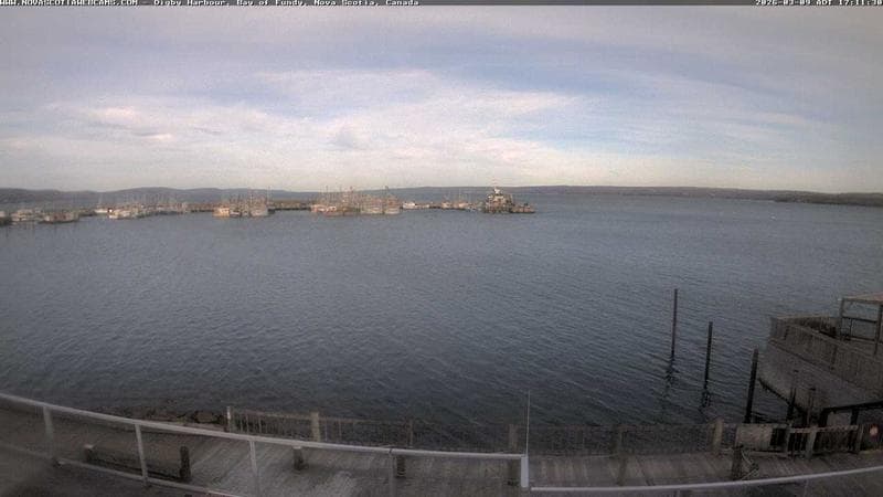 Digby Harbour