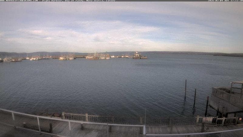 Digby Harbour