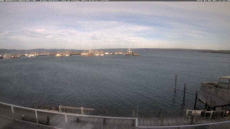 Digby Harbour