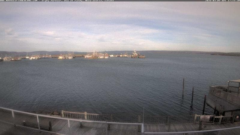 Digby Harbour
