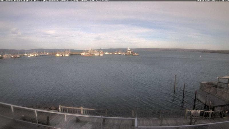 Digby Harbour